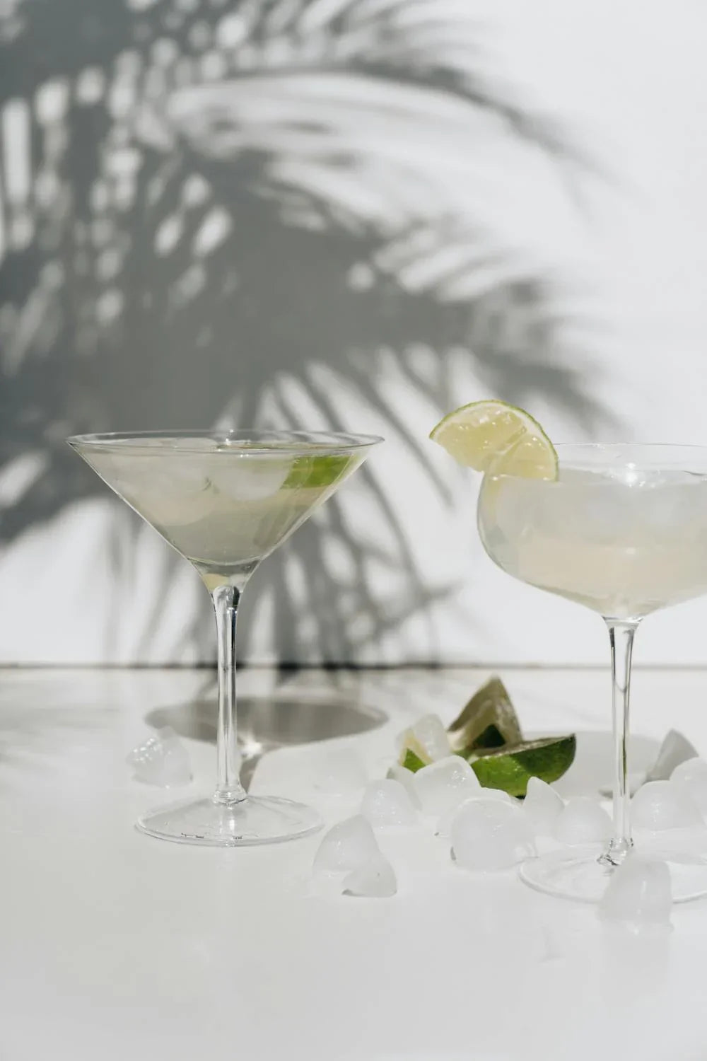 White Willow Bark: Nature’s Aspirin for Your Party Recovery Plan