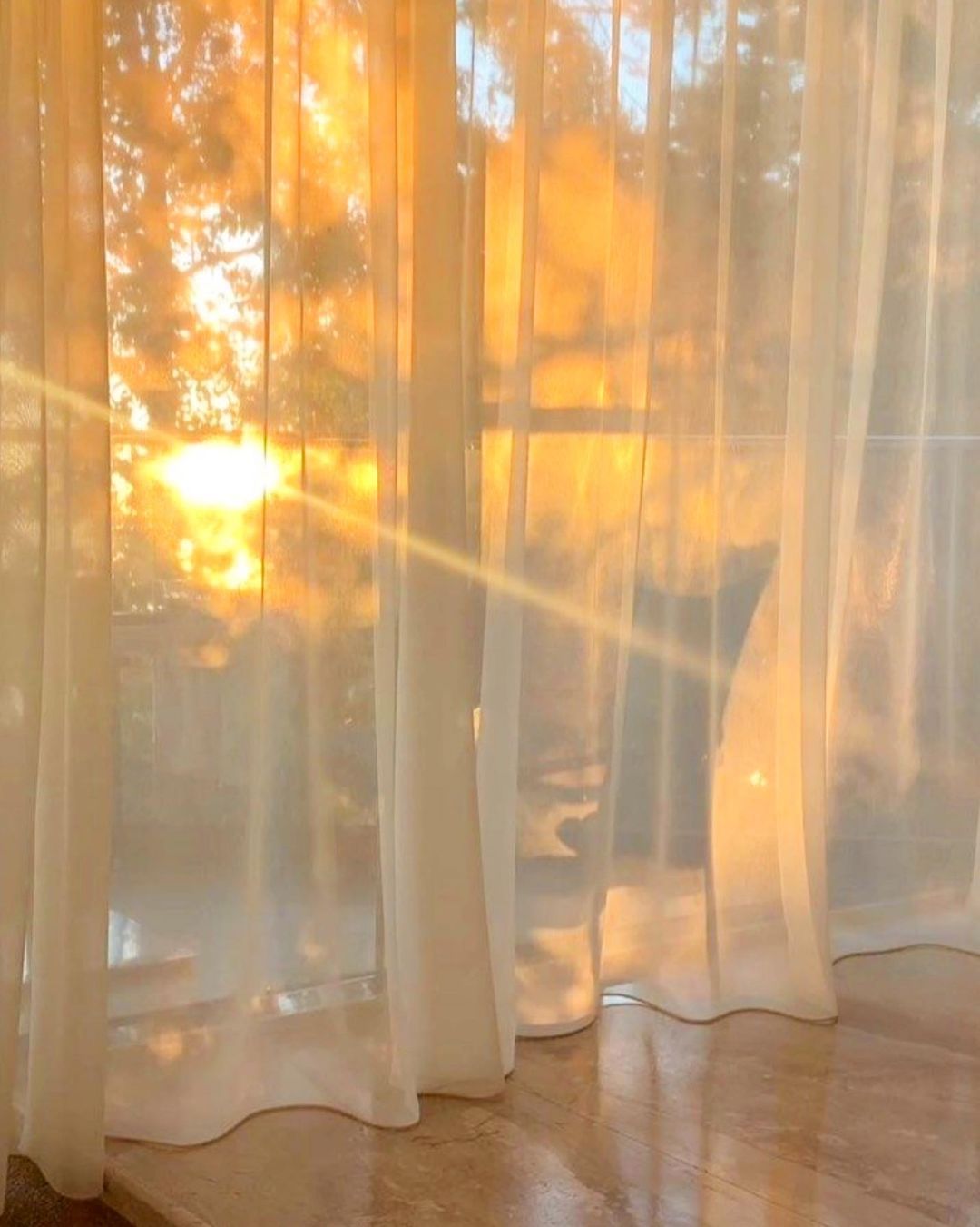The Sunshine Vitamin: Why Your Body Loves Vitamin D3